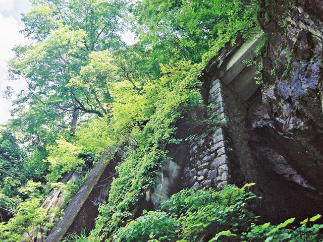 ���،˗ѓS2����,�X�ѓS��,�p����,�g���b�R�O����,�V��,PC��