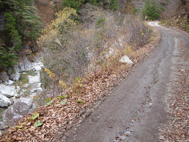 ���،˗ѓS2����,�X�ѓS��,�p����,�g���b�R�O����,�D�Éc�я�,762mm