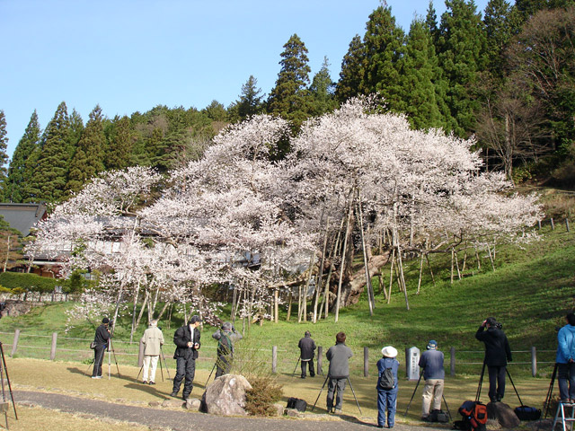 ��m�{��ԏ�