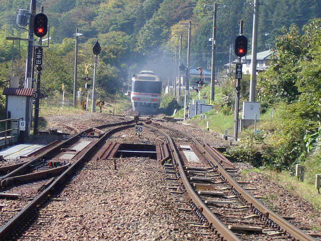 ���R��,��ˏ���w,���}�Ђ�,�v���b�g�z�[��.�L�n85�n