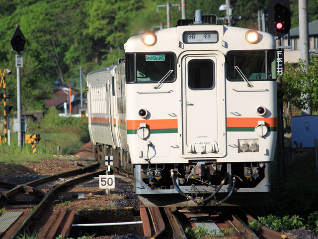 ���R��,��ˏ���w,�e�w���,�v���b�g�z�[��.�L�n40�n