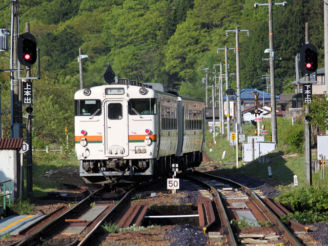 ���R��,��ˏ���w,�e�w���,�v���b�g�z�[��.�L�n40�n