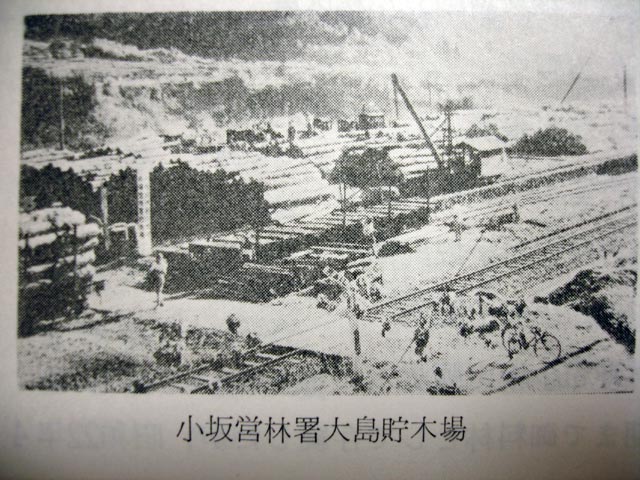 ����X�ѓS��,�ѓS,�N���[����,���R�{��,����