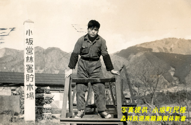 ����X�ѓS��,�ѓS,�^�ޑ��,�^�މݎ�