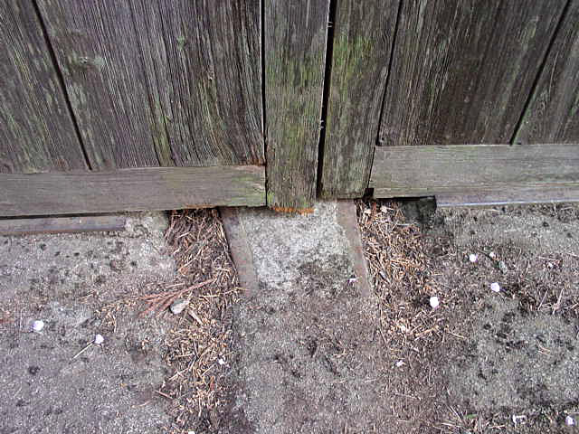 ����X�ѓS��,�ѓS,�p���Տ����ԏ�,�哇���؏�,����