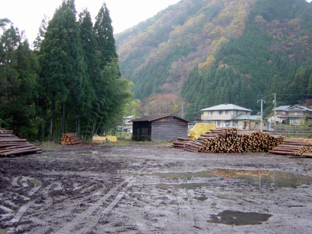 ����X�ѓS��,�ѓS,�p����,�C�U��,����