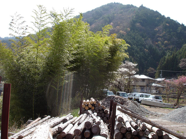 ����X�ѓS��,�ѓS,�p����,����