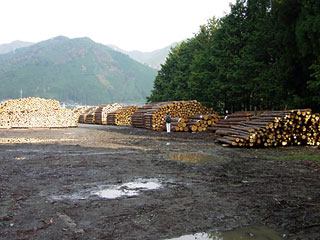 ����X�ѓS��,�ѓS,�p����,�y��,���؏�