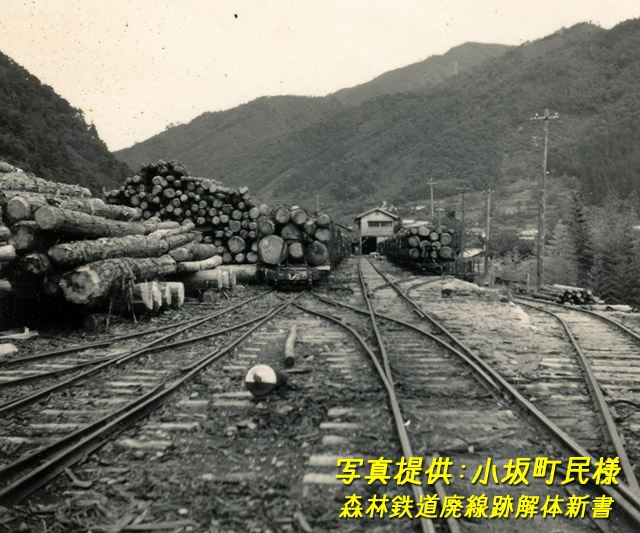 ����X�ѓS��,�ѓS,��������,���H�z�u,�z���}