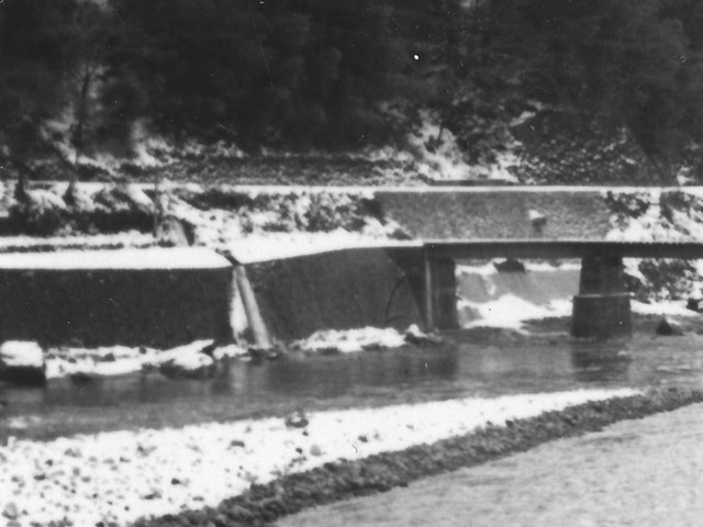 ����X�ѓS���{���u�v�c�싴���[���v