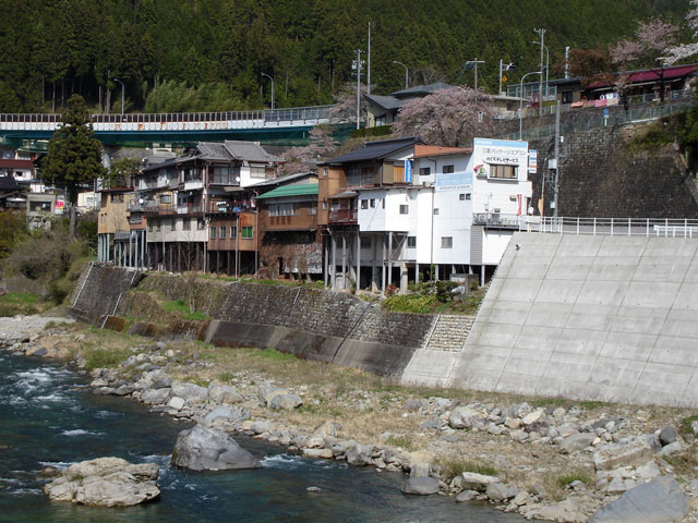 ����X�ѓS���{���u�v�c�싴���[���v