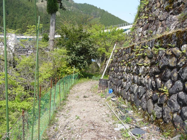 ����X�ѓS���{���u�v�c�싴���[���v