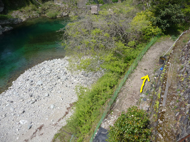 ����X�ѓS���{���u�v�c�싴���[���v