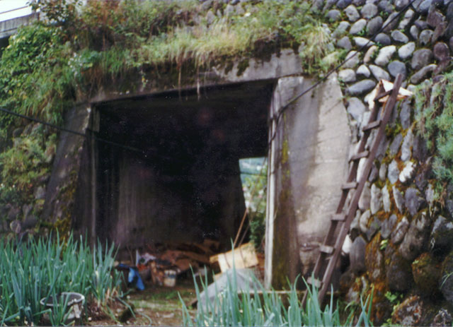 ����X�ѓS���{���u�v�c�싴���[���v