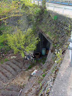 ����X�ѓS���{���u�v�c�싴���[���v