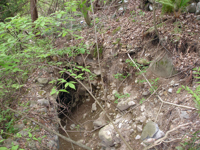 ����X�ѓS���{���u�����א������[���v