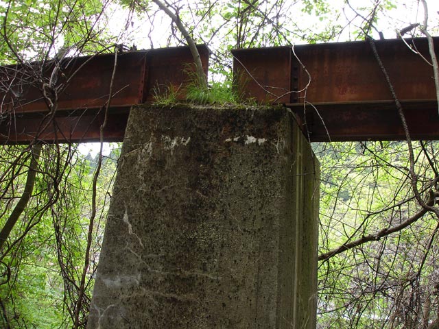 ����X�ѓS���{���uKM1.35�����v