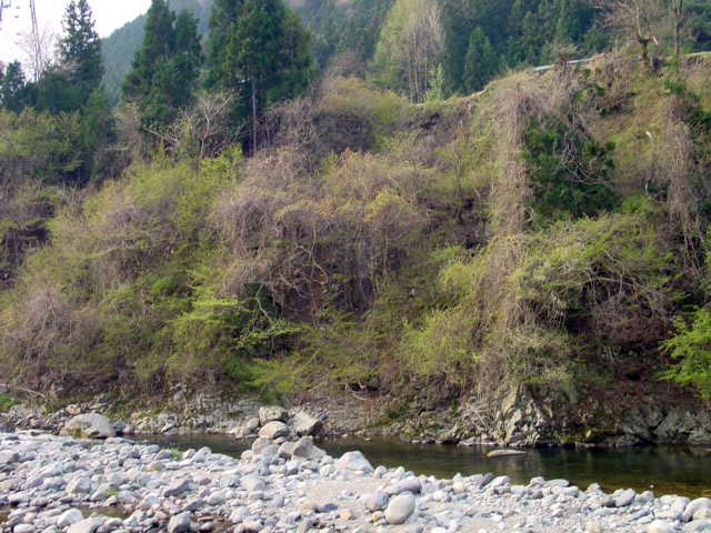 ����X�ѓS���{���uKM1.35�����v