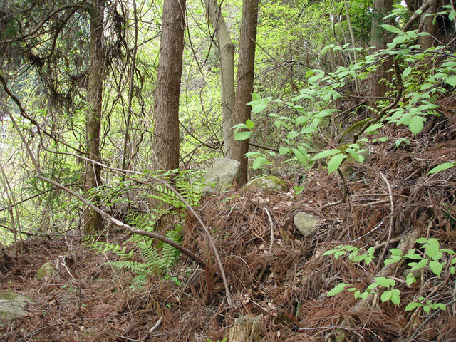 ����X�ѓS���{���uKM1.35�����[���v