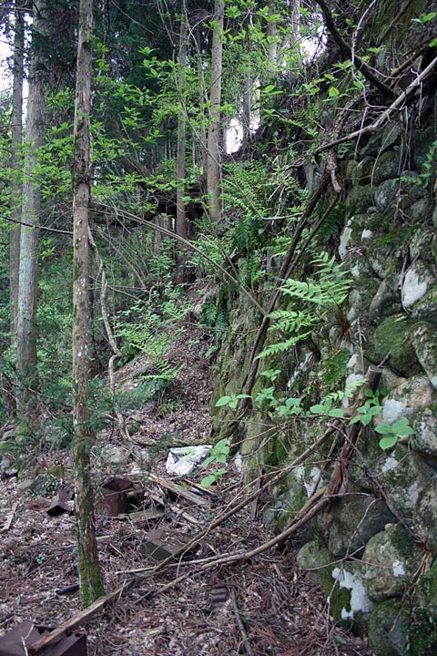 ����X�ѓS���{���uKM1.35�����[���v