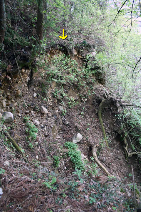 ����X�ѓS���{���uKM1.35�����[���v