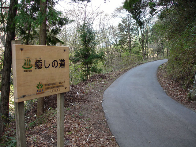 ����X�ѓS���{���u���[�Îq�v