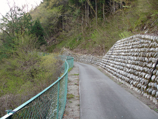 ����X�ѓS���{���u���[�Îq�v