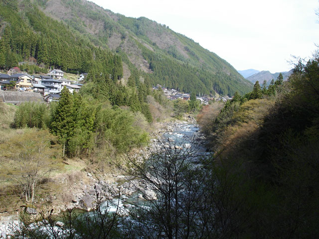 ����X�ѓS���{���u���[�Îq�v