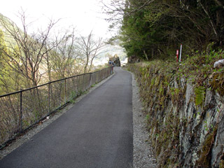 ����X�ѓS���{���u���[�Îq�v