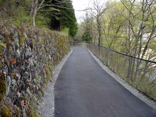 ����X�ѓS���{���u���[�Îq�v