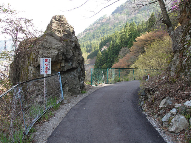 ����X�ѓS���{���u���[�Îq�v