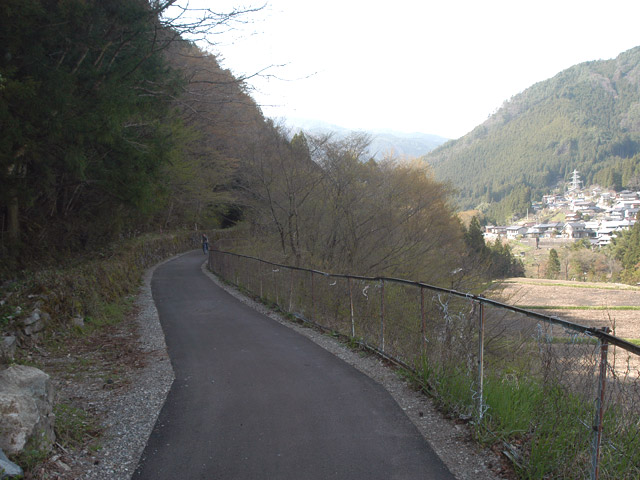 ����X�ѓS���{���u���[�Îq�v