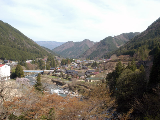 ����X�ѓS���{���u���[�Îq�v