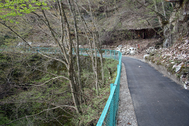 ����X�ѓS���{���u�Ȃ蟺�����v