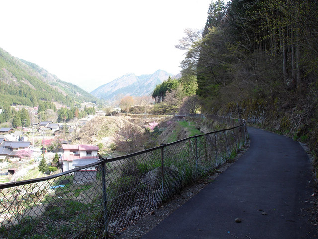 ����X�ѓS���{���u�Ȃ蟺�����[�Îq�v