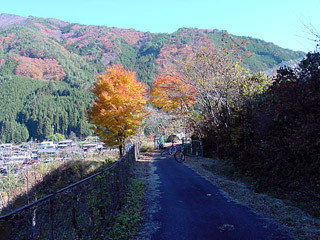 ����X�ѓS���{���uKM2.6�����[�Îq�v