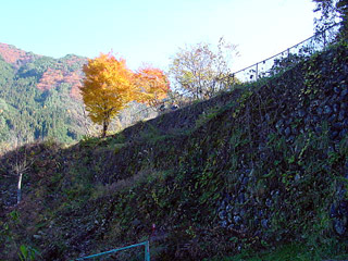 ����X�ѓS���{���uKM2.6�����[�Îq�v