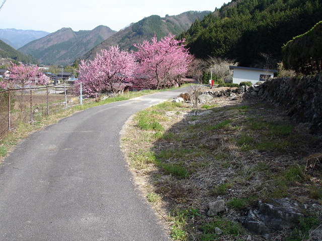 ����X�ѓS���{���u�Îq��ԏ�v