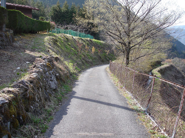 ����X�ѓS���{���u�Îq��ԏ�v