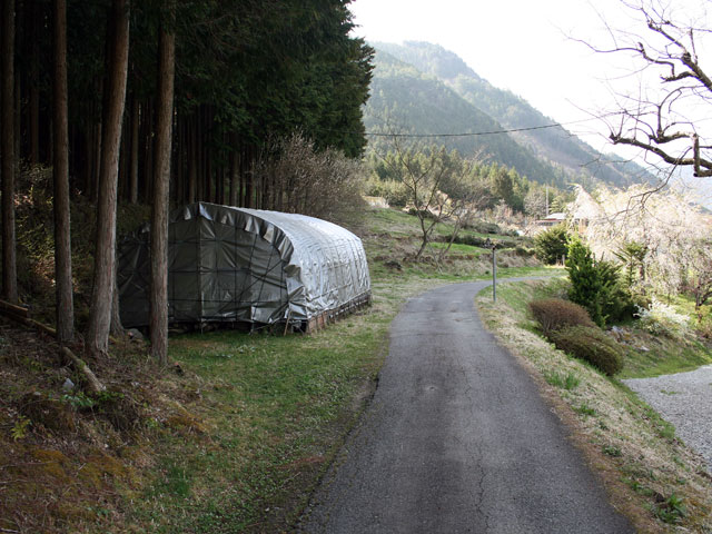 ����X�ѓS���{���u�Îq��ԏ�v