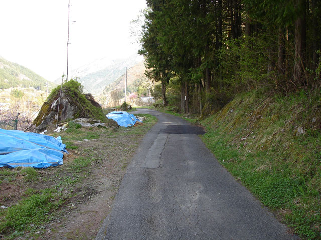 ����X�ѓS���{���u�Îq�[�办�J�����v