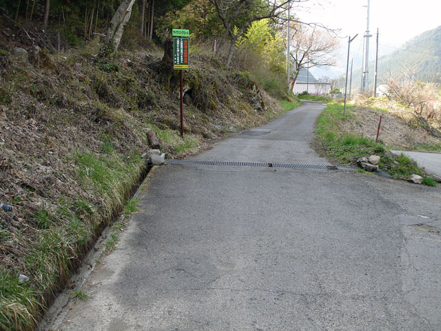 ����X�ѓS���{���u�Îq�[�办�J�����v