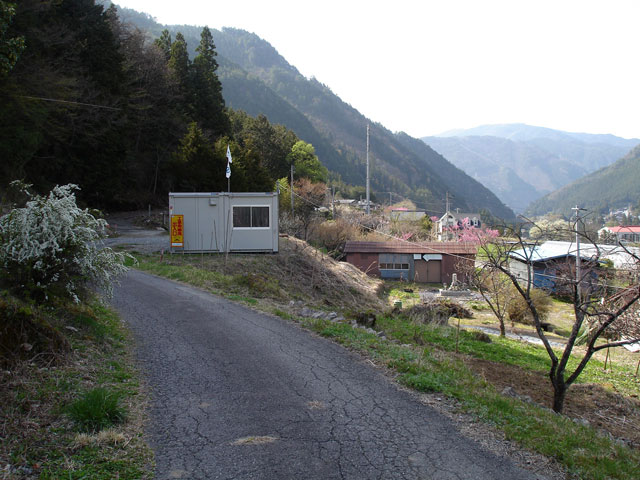 ����X�ѓS���{���u�Îq�[�办�J�����v