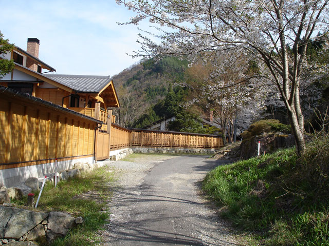 ����X�ѓS���{���u�Îq�[�办�J�����v