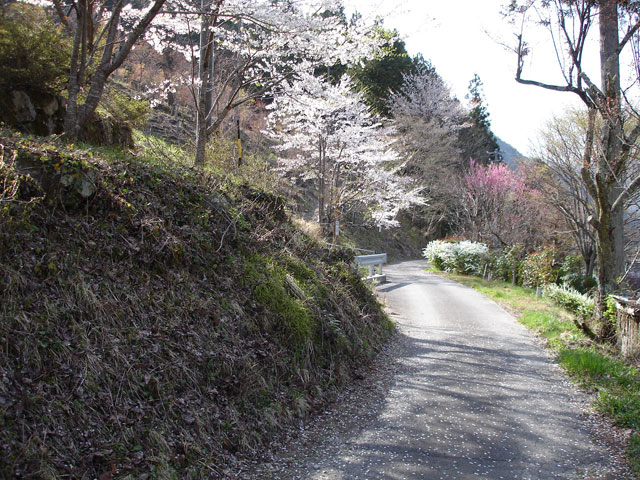 ����X�ѓS���{���u�Îq�[�办�J�����v