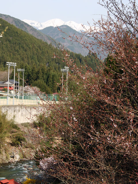 ����X�ѓS���{���u�Îq�[�办�J�����v,�Îq�̍g�~,��ԎR