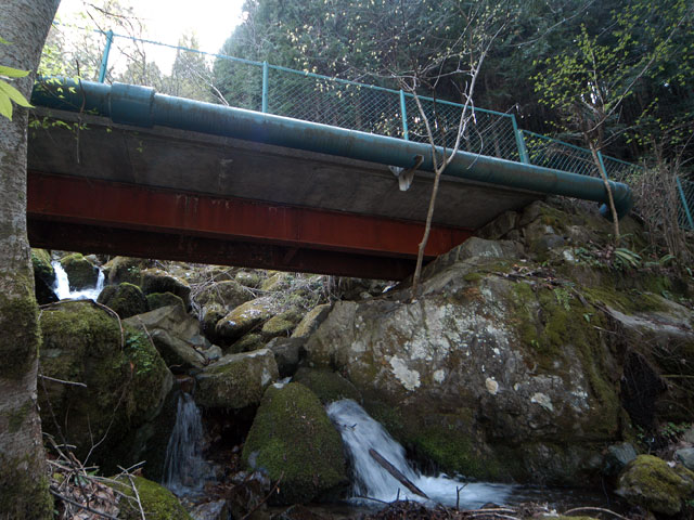 ����X�ѓS���{���u�K���������v