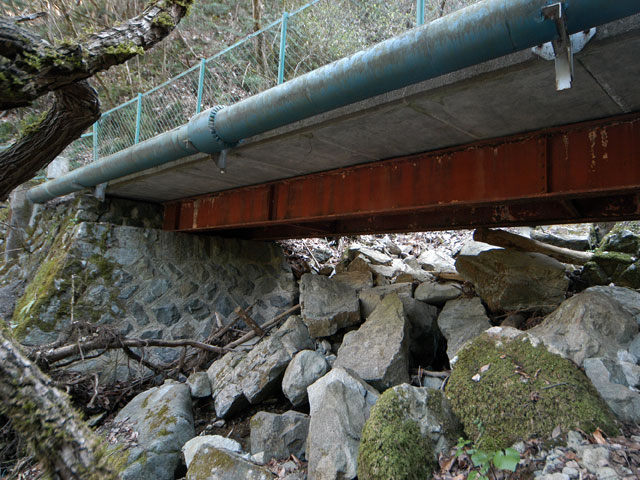 ����X�ѓS���{���u�K���������v