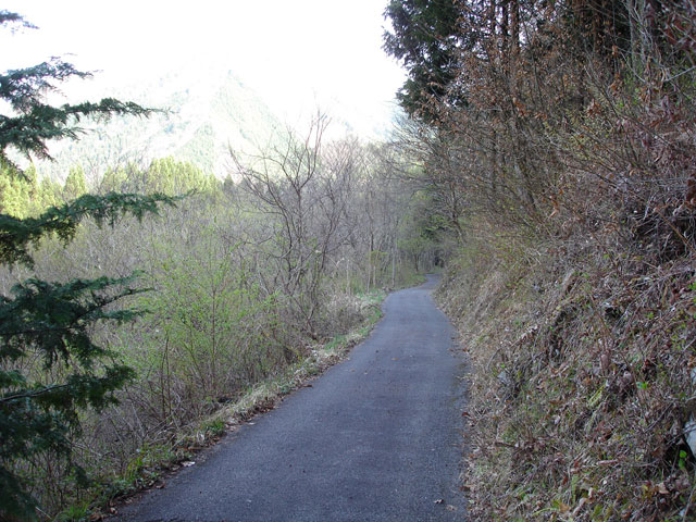 ����X�ѓS���{���u�K���������[�办�J�����v