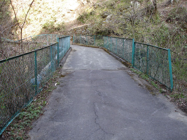 ����X�ѓS���{���u���[�Îq�v